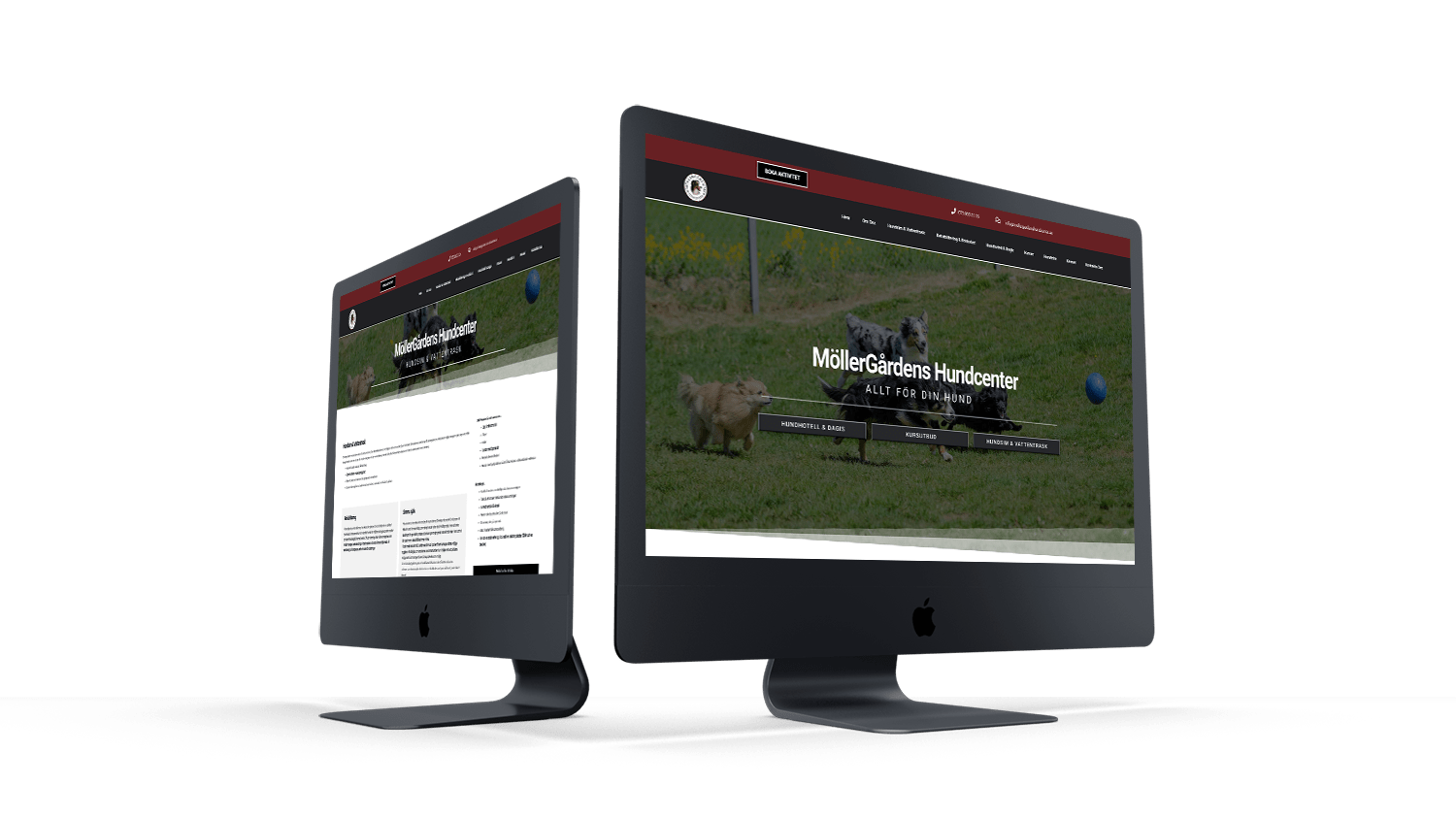 Webblix webbyrå responsiv hemsida till MöllerGårdens Hundcenter